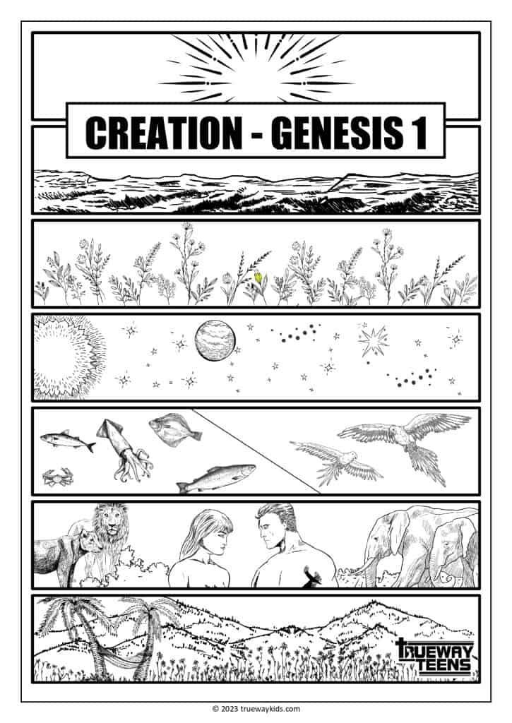 Genesis 1 creation coloring page - E813c86990ffaac7eb537283de0ac4ae
