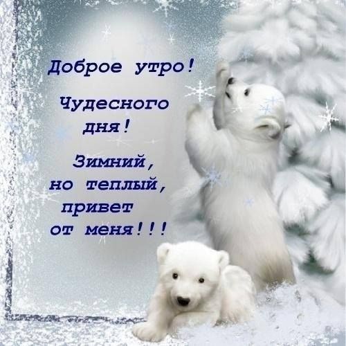 С добрым зимним утром и хорошего дня картинки, пожелания новым