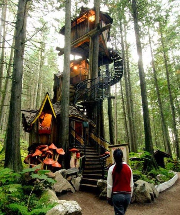 Tree House best 25+ tree houses ideas on pinterest | tree house designs Tree House best 25+ tree houses ideas on pinterest | tree house designs