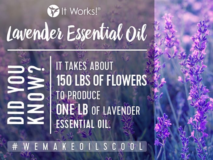 25 best it works oils images on pinterest lemon essential oils it works lavender oil