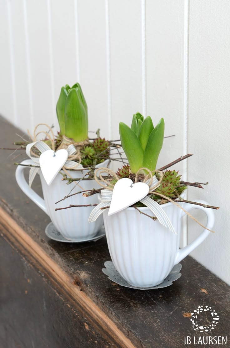 23 besten Blumen Frühling Bilder auf Pinterest Deko 23 besten Blumen Frühling Bilder auf Pinterest Deko