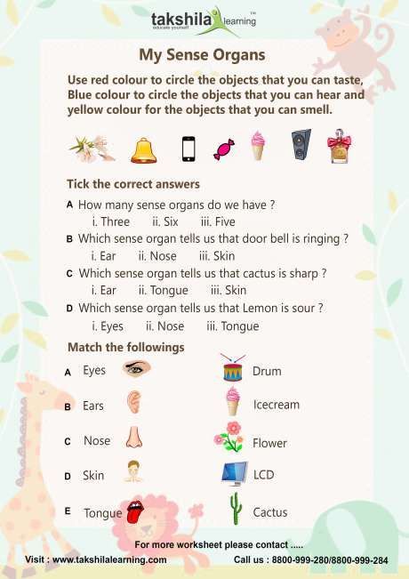 Cbse Worksheets For Class 1 Evs Worksheets For Grade 1 Evs Ncert Cbse Best Class 1 Worksheets Class Grade Ncert Worksheets Math Worksheets Worksheets For Class 1 1st Grade Works