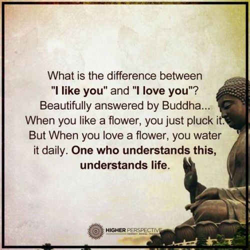 Buddhist Quotes On Love Gorgeous Best 25 Buddha Quotes Love Ideas On Pinterest Buddha Quote Buddhist Quotes On Love Captivating Best 25 Buddha Quotes Love Ideas On Pinterest Buddha Quote