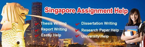 Essay writing service singapore