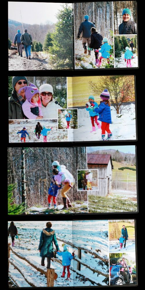online family photo album