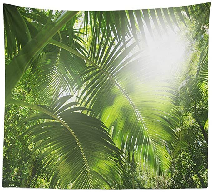 Tushelia Forest Tapestry Nature Tree Cave Tapestry Wall Hanging Misty Forest Tapestry Stream Through Rainforest Tapestry Landscape Wall Tapestry Jungle Creek Psychedelic Tapestry for Living Room