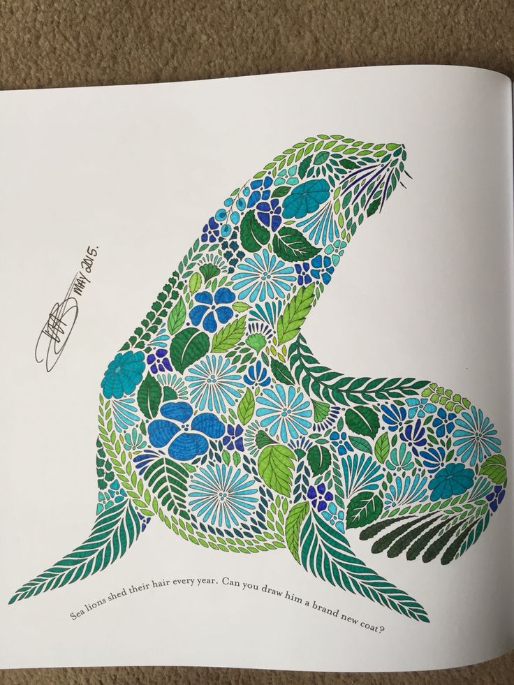 Millie Marottas Animal Kingdom DWB 2015 My Gallery
