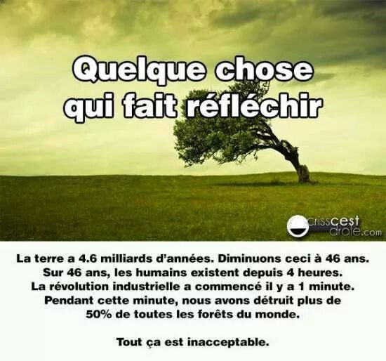 Epingle Par Axelle Dessenne Sur Citation Texte Drole Citation Phrase Citation Epingle Par Axelle Dessenne Sur Citation Texte Drole Citation Phrase Citation