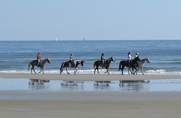 Horseback Riding Myrtle Beach Did This Ride Through The Woods And Horseback Riding Myrtle Beach Did This Ride Through The Woods And Arrive At Adventures I Ve Had Pinterest Trip