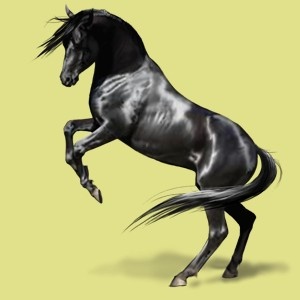 红米AX3000 免拆机刷OpenWrt喂饭教程有手就行 适用CR880X系列小米无线路由器及小米网络设备恩山无线论坛 Powered