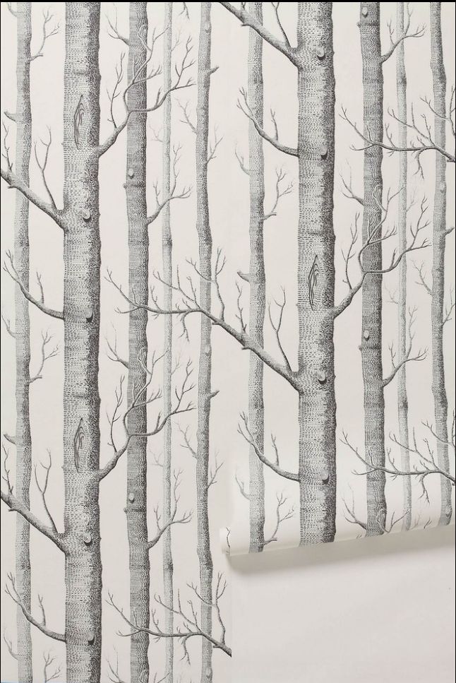 Tree Wall Paper top 25+ best birch tree wallpaper ideas on pinterest | tree Tree Wall Paper top 25+ best birch tree wallpaper ideas on pinterest | tree