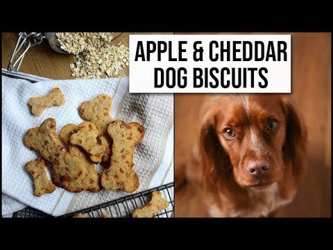 Easy Homemade Dog Treats For Your Pup All Natural Apple And