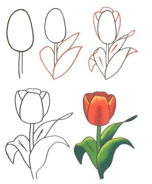 Die besten 25+ zeichnen Blumen Ideen auf Pinterest Muster - lila blumen bestimmen Die besten 25+ zeichnen Blumen Ideen auf Pinterest Muster - lila blumen bestimmen
