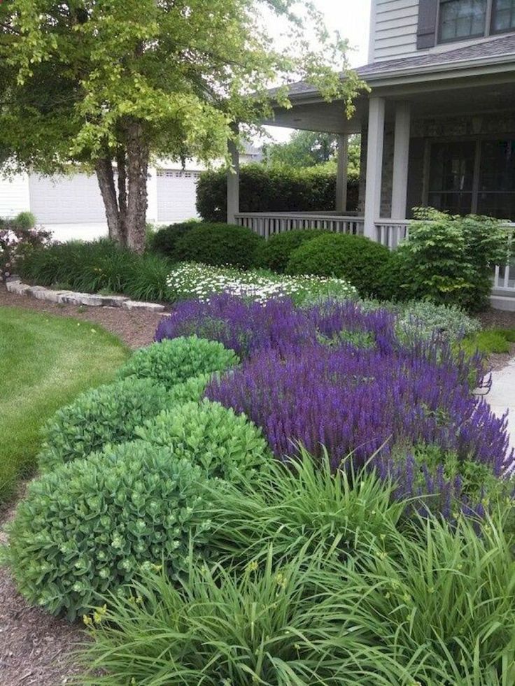 36 best Cape Cod Gardens images on Pinterest | Backyard ideas