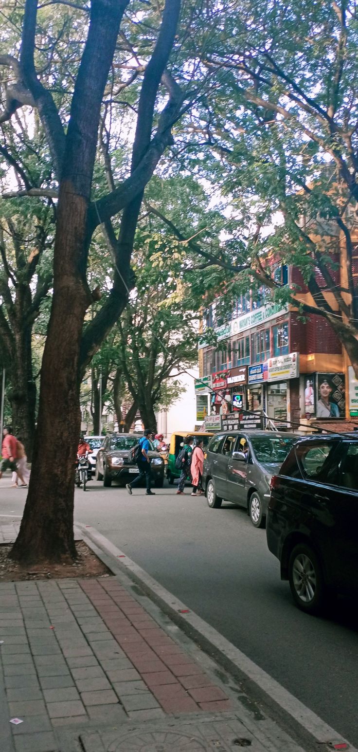 Bangalore in 2024 | City life aesthetic, Nature photography quotes, Sky