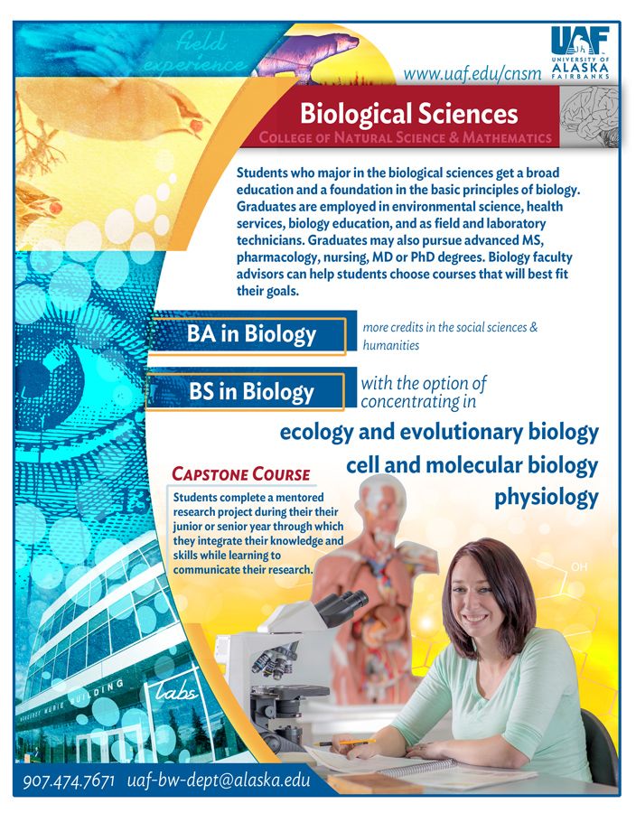 18 best class flyers images on pinterest flyers leaflets and ruffles college course flyers