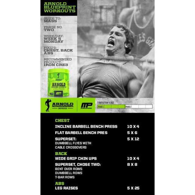 17 best Chest on swole images on Pinterest Circuit workouts - new arnold blueprint phase 1 week 1 17 best Chest on swole images on Pinterest Circuit workouts - new arnold blueprint phase 1 week 1