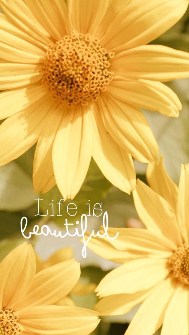 Spring Wallpapers For Iphone Best Spring Backgrounds Free Download Who Do Click Here T Spring Wallpaper Nature Iphone Wallpaper Wallpaper Iphone Quotes