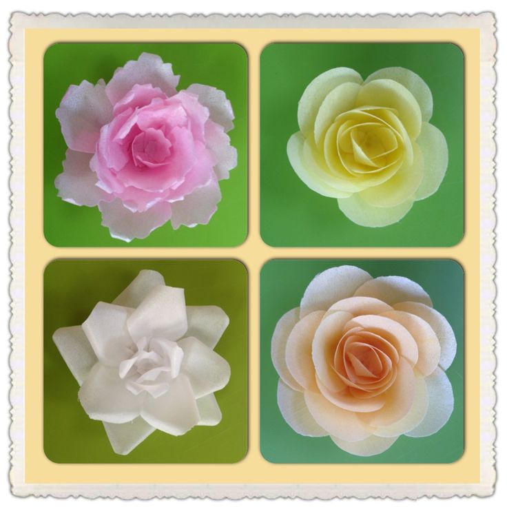554 best wafer paper flowers cakes and more images on pinterest rice paper flower