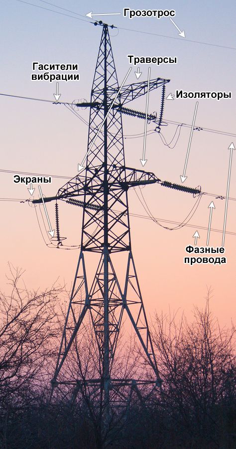 Why Don't Birds and Squirrels Get Electrocuted Sitting on Power Lines? Power, Tr