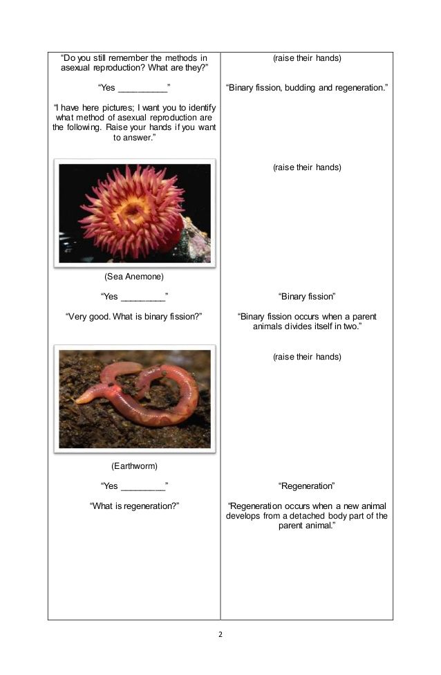 Ideas for Teachers