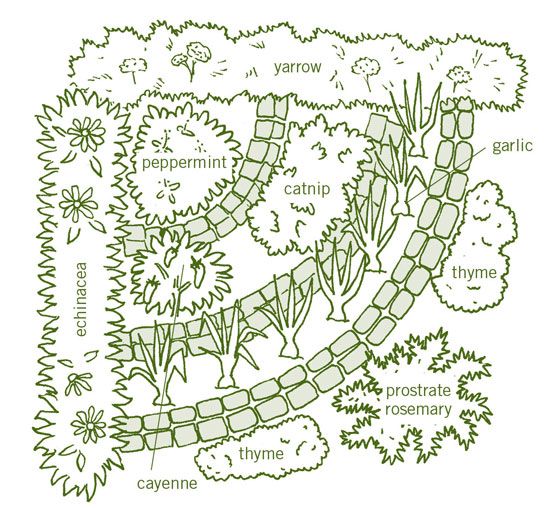 25+ Best Herb Spiral Ideas On Pinterest Spiral Garden, How To 25+ best Herb spiral ideas on Pinterest | Spiral garden, How to landscape and Rockery stones - 25+ Best Herb Spiral Ideas On Pinterest Spiral Garden, How To