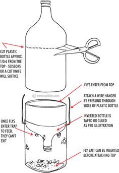 The 25 Best Bee Catcher Ideas On Pinterest Wasp Diy Organic Fly Trap Also A Green Way To Use Those 2ltr Soda