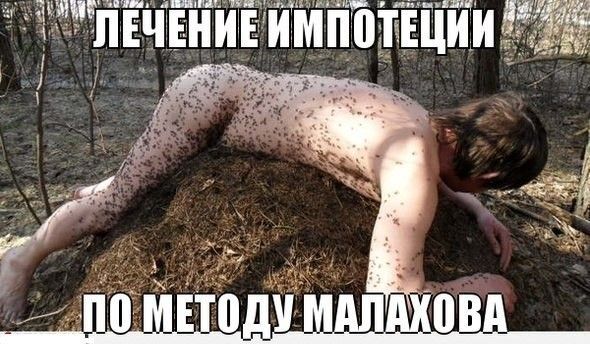 Пошлые Прикольные Картинки Фото Пошлые Прикольные Картинки Фото