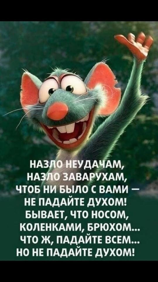 Прикольные картинки с позитивными фразочками