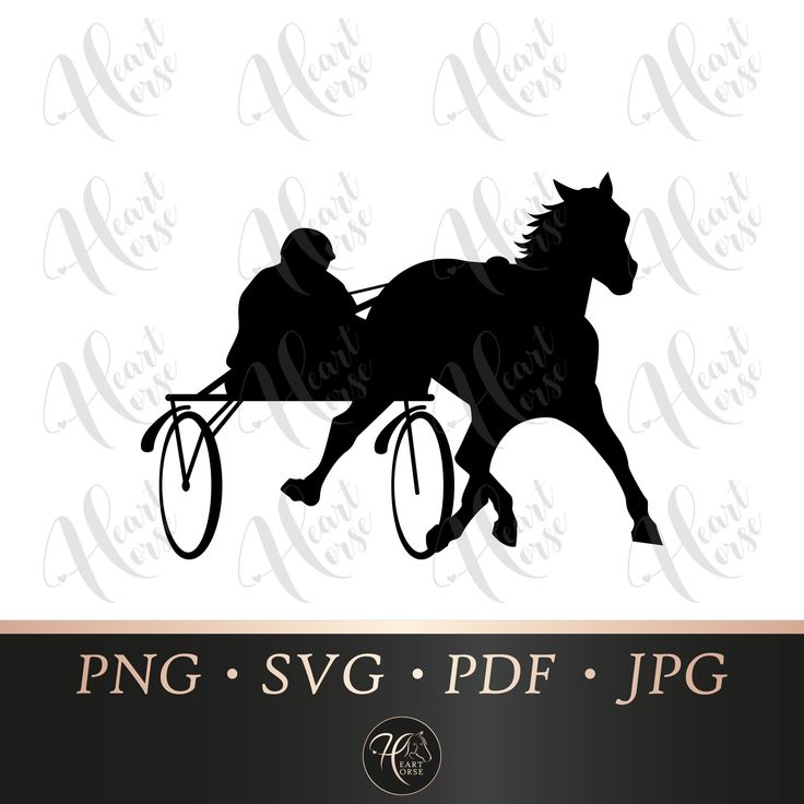 Download Harness racing silhouette, harness racing svg, horse pacer ...