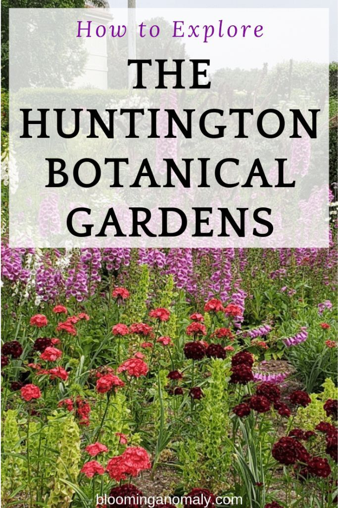 Do You Want To Visit 16 Gardens In One Place You Can Do This At