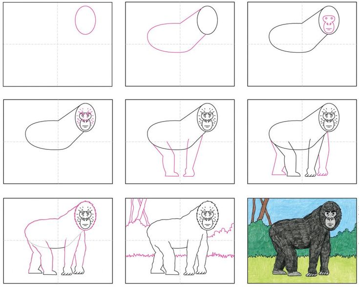 Easy Gorilla Drawing 8 Easy How to Draw a Gorilla Tutorial and Gorilla Coloring Page ...
