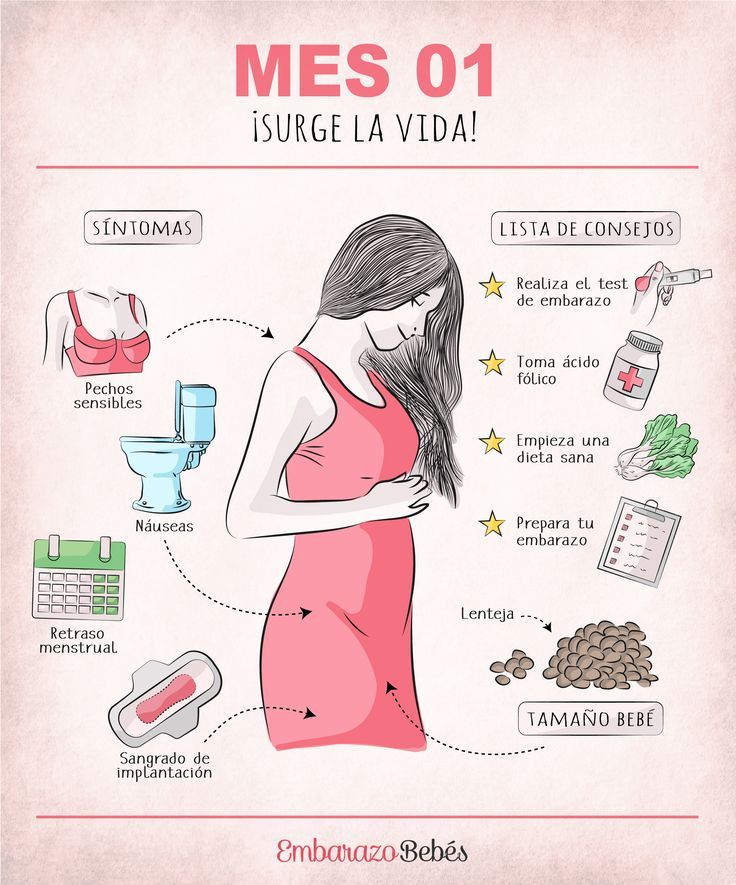 Primer Mes De Embarazo Mes 1 Primeros Síntomas De Embarazo Primer Mes De Embarazo Embarazo Divertido
