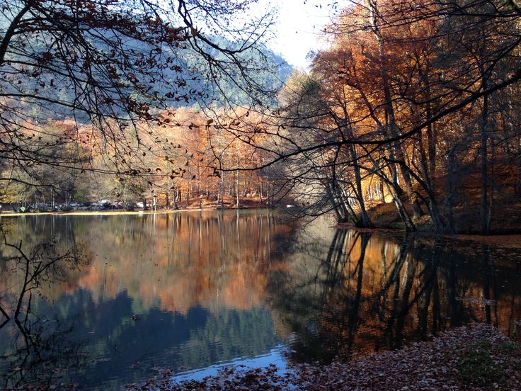 Amazing Sun - sonbaharda ne oldu Amazing Sun - sonbaharda ne oldu