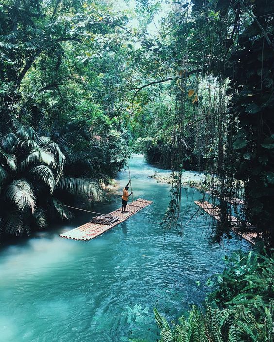23 Best Oh The Places We Will Go Images On Pinterest 23 Best Oh The Places We Will Go Images On Pinterest