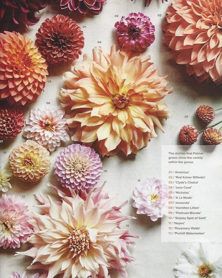 Garden Ideas Videos 75 best garden ideas images on pinterest Garden Ideas Videos 75 best garden ideas images on pinterest
