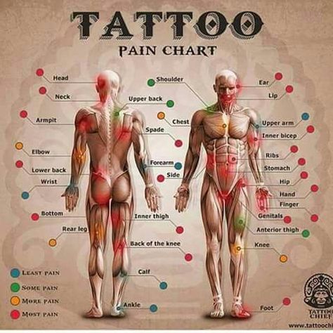 SEARCH AND BUY THIS PRODUCT Food for thought | Body Art | Pinterest | Thoughts, Tattoo