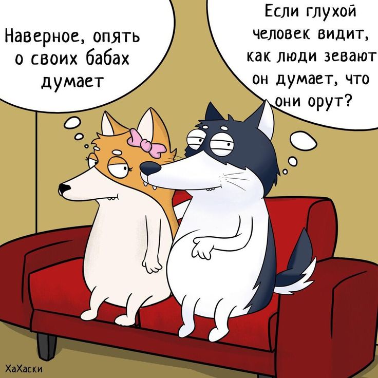 Картинки прикольные про отношения хахаски