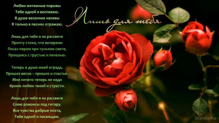 Открытки розы женщине красивые с стихами