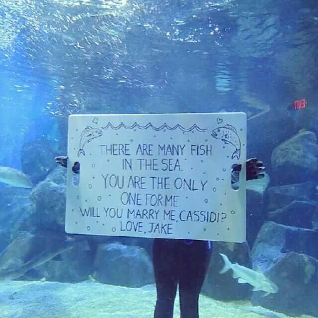 44 Best Proposal Ideas Images On Pinterest Proposals Wedding Underwater Proposal Some People Will Go To Great Lengths Surprise Their Significant Other In This Case Jake Actually Got Into An
