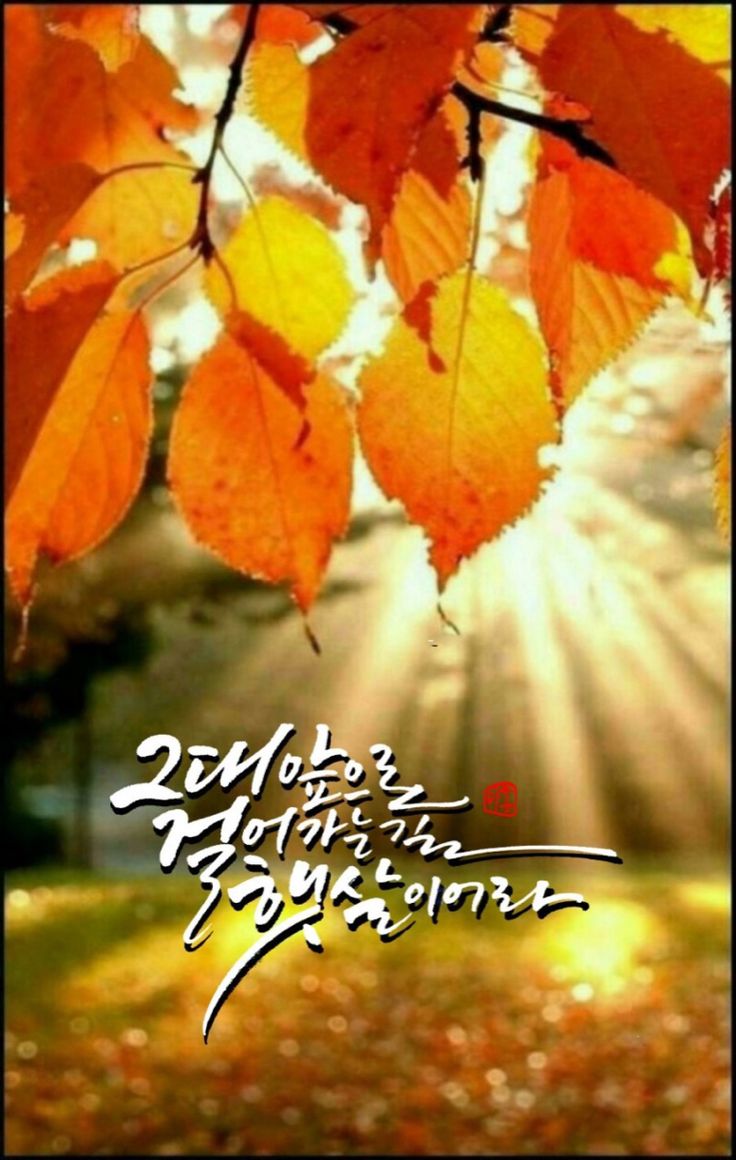 29개의 굿모닝 아이디어 - 2022 | 아침 인사, 좋은 아침 인사, 아침 이미지