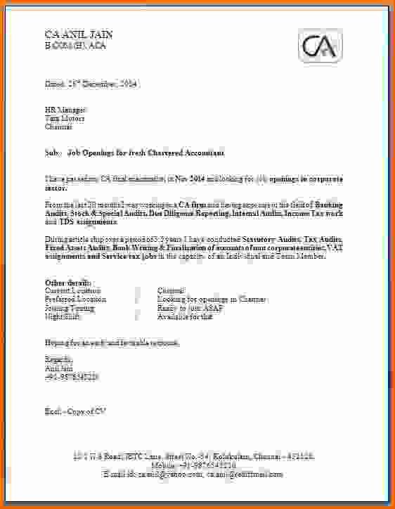 Oltre 25 fantastiche idee su Executive resume template su - free executive resume template Oltre 25 fantastiche idee su Executive resume template su - free executive resume template