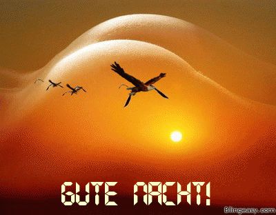 Gute nacht bilder sexy