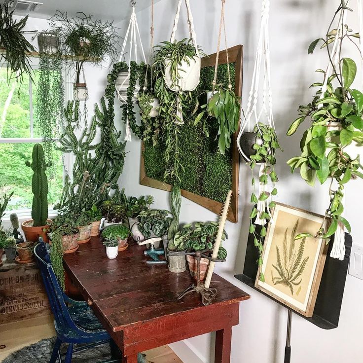 Table d'angle pour plantes d'intérieur à proximité