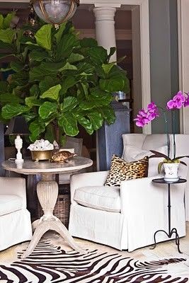 Living Room Zebra Rug best 20+ zebra rugs ideas on pinterest | zebra living room, zebra Living Room Zebra Rug best 20+ zebra rugs ideas on pinterest | zebra living room, zebra