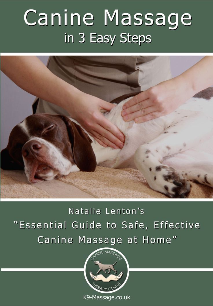 Wow This Dvd Teaches You A Full Routine For Your Dog Using