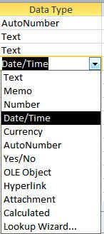 access database project management