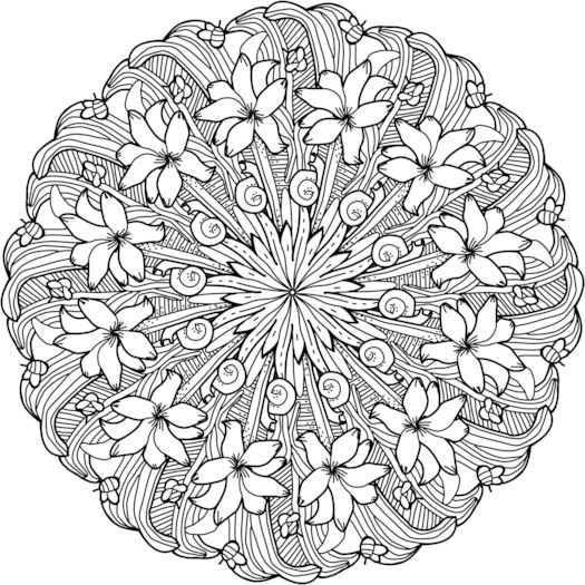 408 best Coloring-Mandalas images on Pinterest Coloring books - copy free coloring pages of hibiscus flowers 408 best Coloring-Mandalas images on Pinterest Coloring books - copy free coloring pages of hibiscus flowers