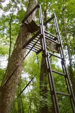 Mobile phone amatuer upskirt Redhead tree stand shooting rail