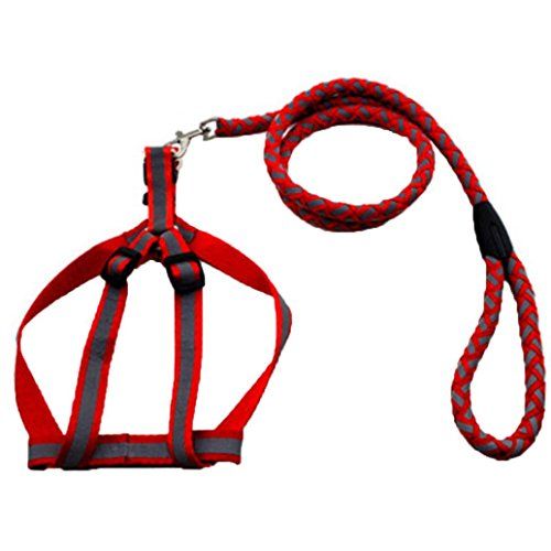 PetsCaptain Pet Supplies for Dog Leash and Dog Harness Bundle Dog Collar Various Size for Small to Extra Large Dogs and Cats PetsCaptain Pet Supplies for Dog Leash and Dog Harness Bundle Dog Collar Various Size for Small to Extra Large Dogs and Cats